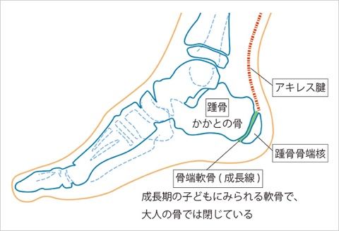 柔整学生による柔整学生のためのブログ 柔整学生による柔整学生のためのブログ