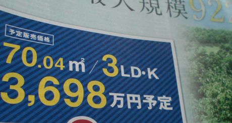 収入所得 公的負担の差