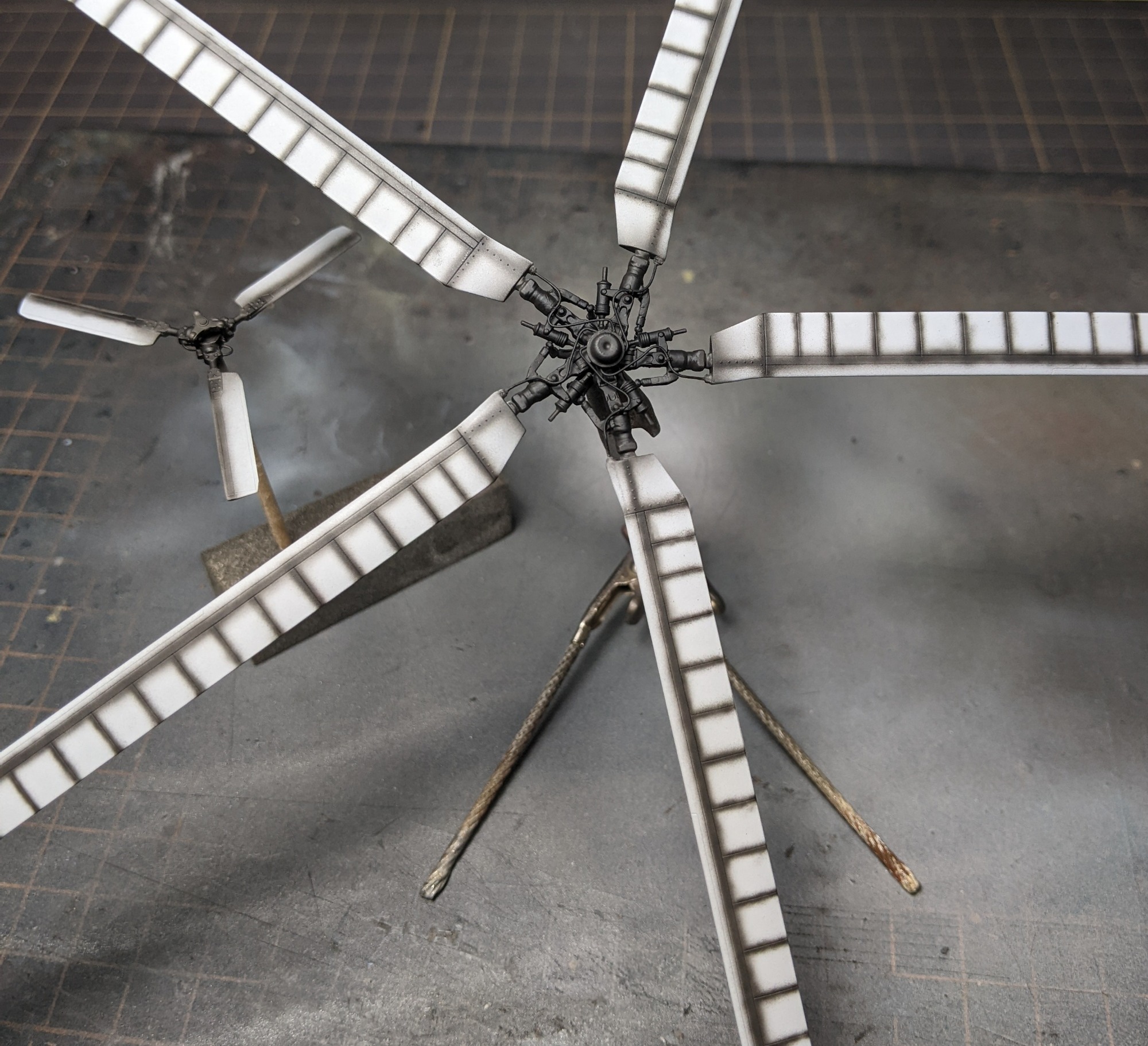 PXL_20230507_070246565~2