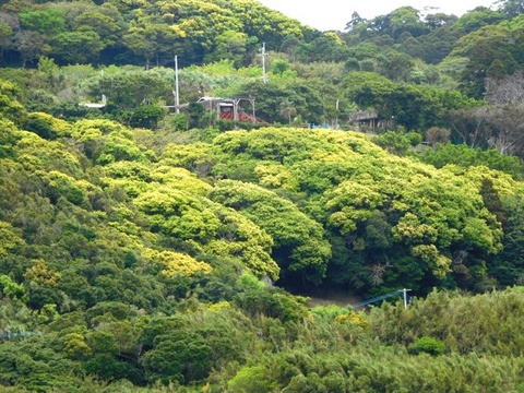 DSCN1183