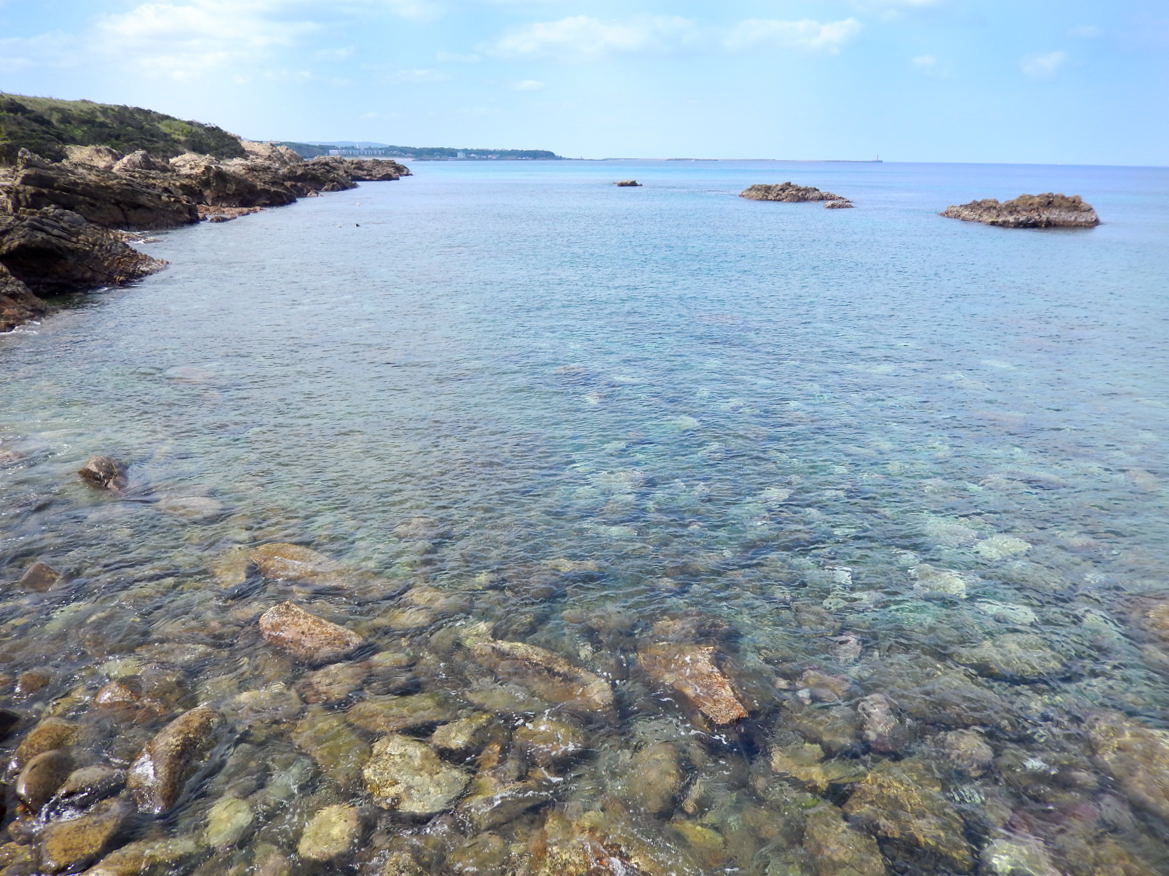 ナガラメ トコブシ 漁始まる 種子島のブログ ナガラメ トコブシ 漁始まる 種子島のブログ