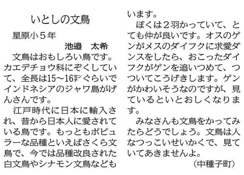 無題