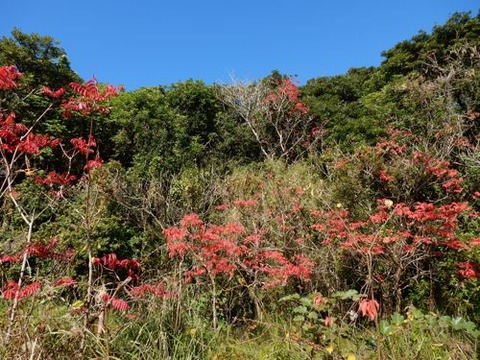 DSCN7091