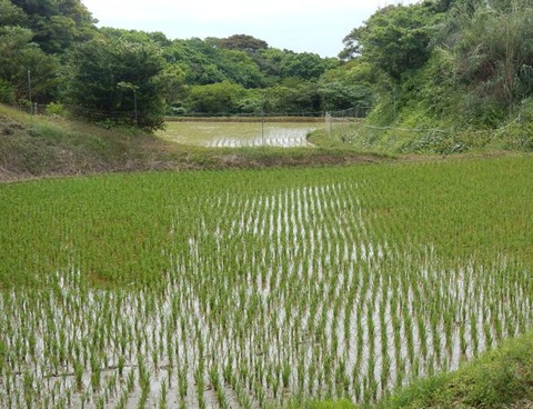 DSCN0081