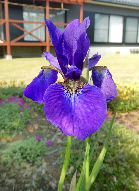 DSCN9942