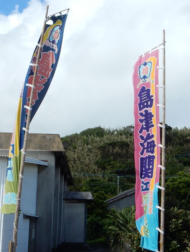 島津海関を応援するのぼり旗 : 種子島のブログ