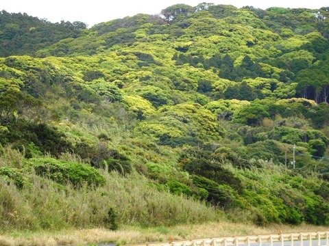 DSCN1181