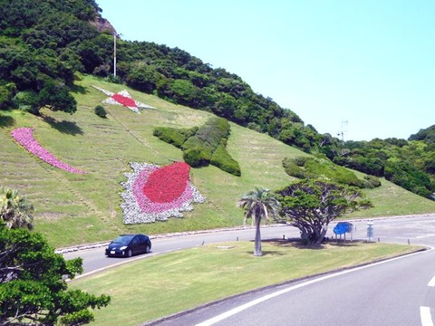 DSCN1767
