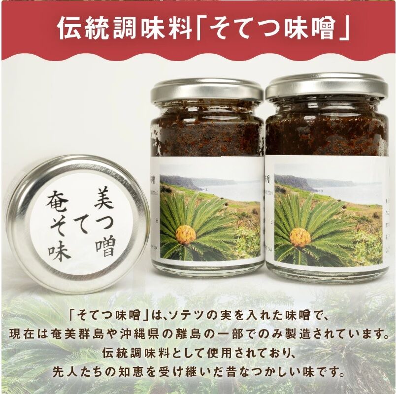 ソテツの実 : 種子島のブログ ソテツの実 : 種子島のブログ
