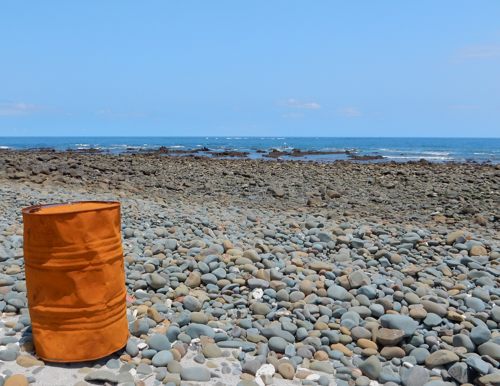 浜防風の実 種子島のブログ