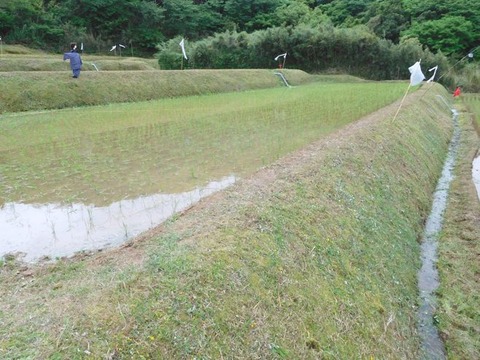 DSCN1348