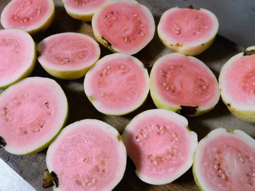 バンジロウ（グァバ）収穫 : 種子島のブログ