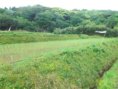 DSCN1328