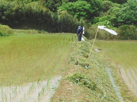 DSCN1343