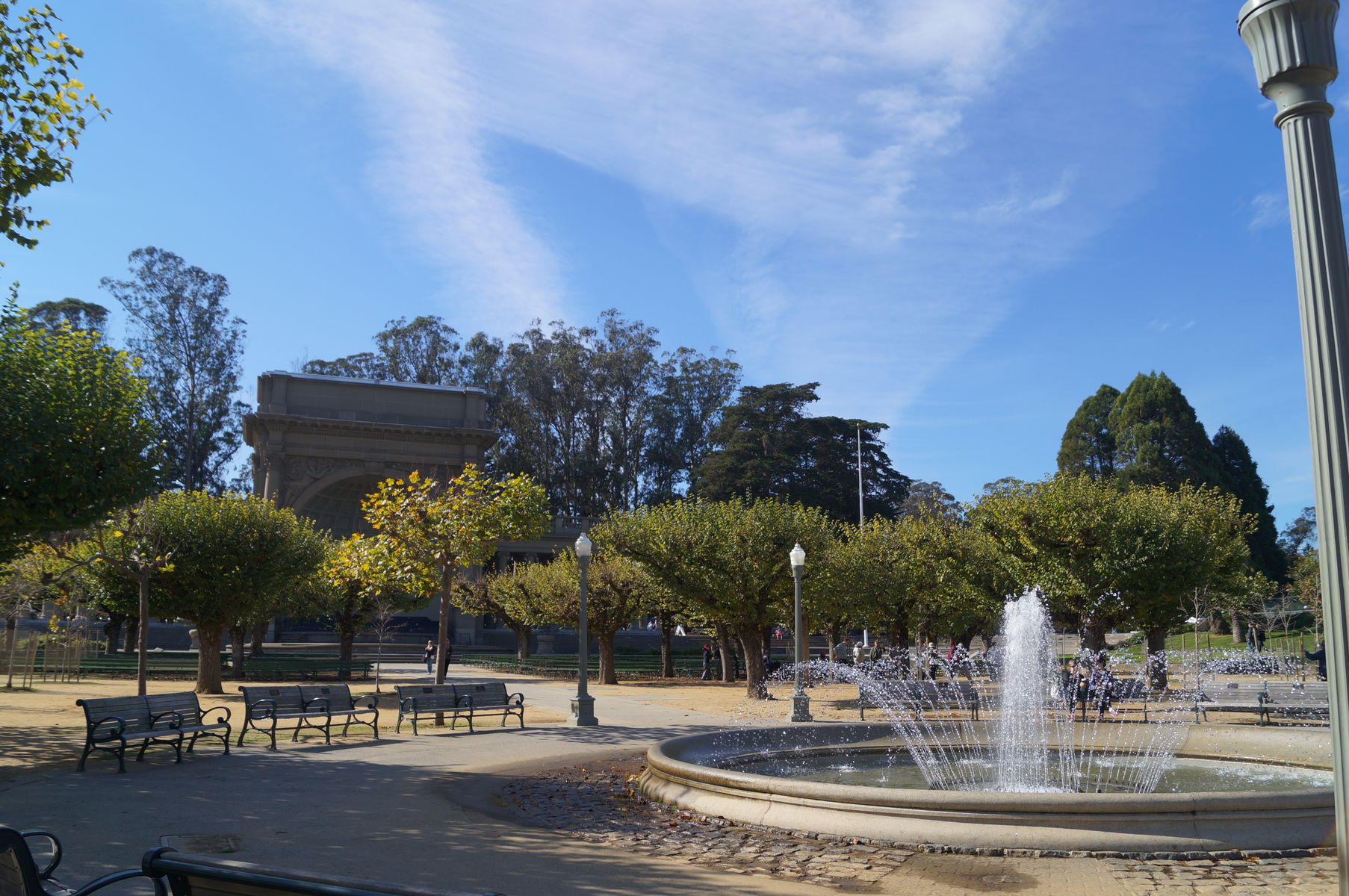 カリフォルニア科学アカデミー かなたのhappylife In California