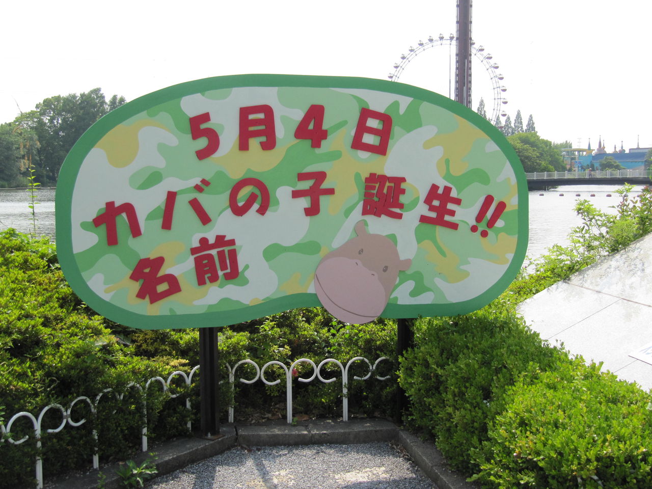 てけとーなざっき その84 こ えついったー ウソ