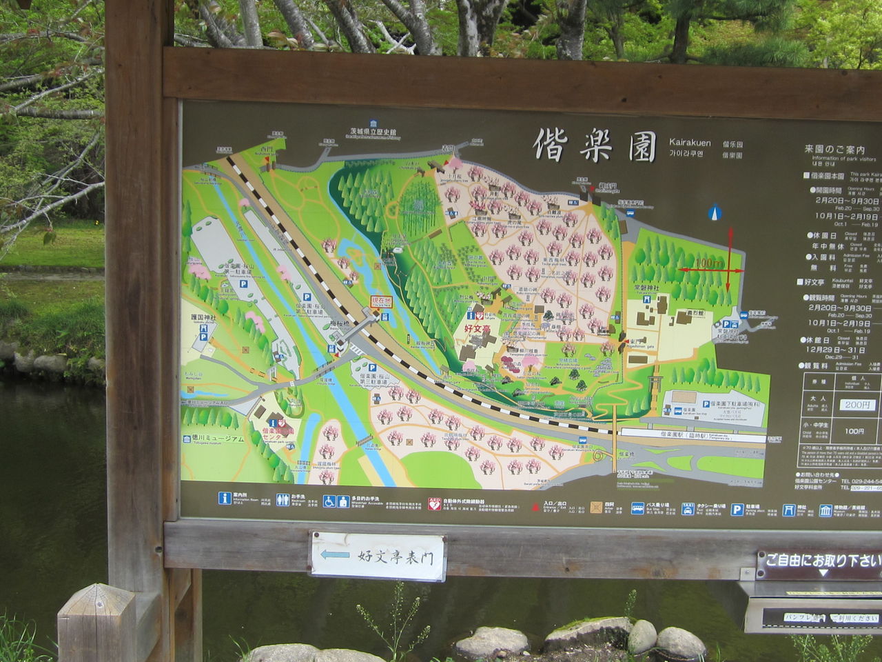 全国制覇の旅 コスモスある記