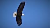 DSC_5549 (2)