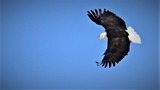 DSC_5566 (2)