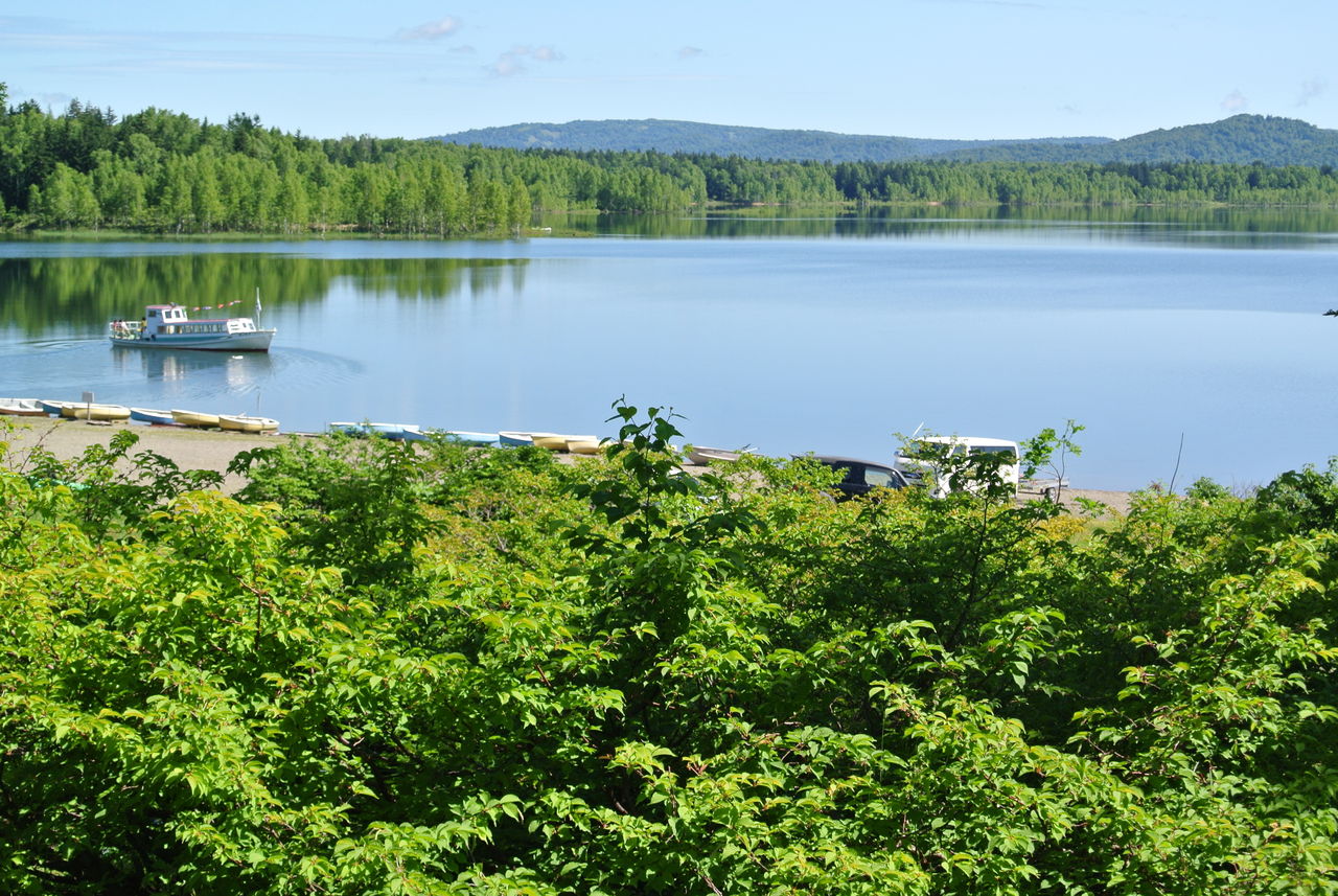 朱鞠内湖で鳥撮りです ヨット Jennifer号 航海記 探鳥旅行記