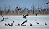 DSC_4579 (2)
