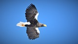 DSC_5549 (2)