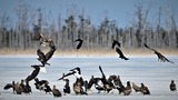 DSC_5118 (2)