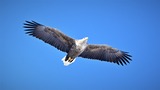 DSC_5746 (2)