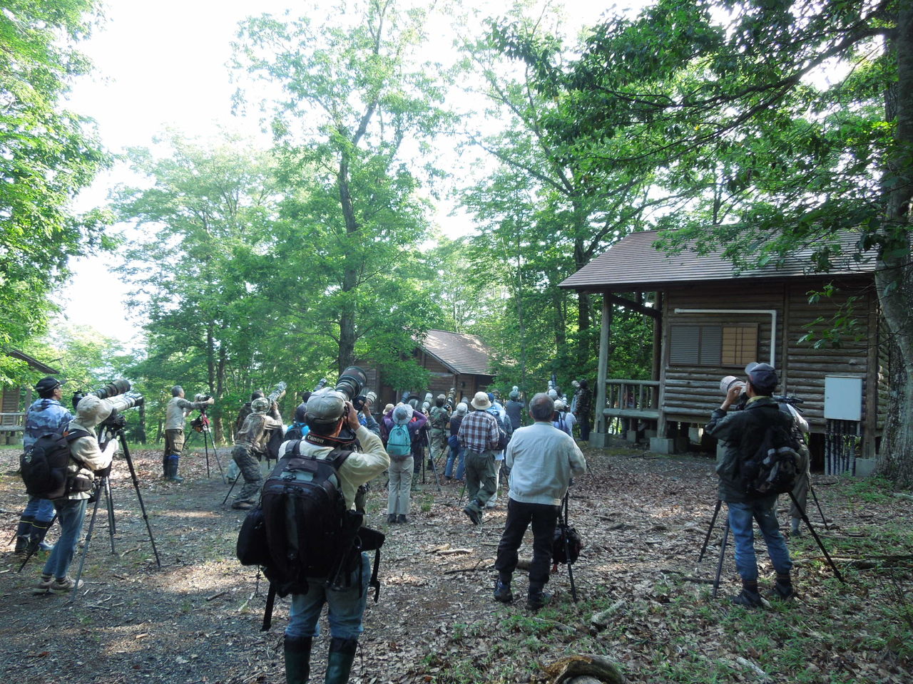 6月27日 野鳥撮影 重い機材 老い対策の考察 ヨット Jennifer号 航海記 探鳥旅行記 6月27日 野鳥撮影 重い機材 老い対策の考察 ヨット Jennifer号 航海記 探鳥旅行記