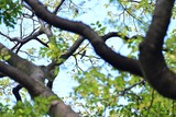 元DS1_0269