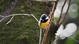 DSC_5247 (2)