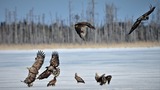 DSC_4678 (2)