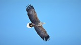 DSC_5638 (2)