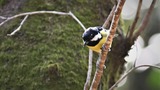 DSC_5248 (2)
