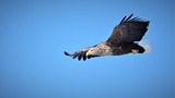DSC_5302 (2)