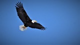 DSC_5546 (2)