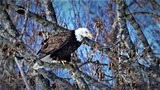DSC_5477 (2)