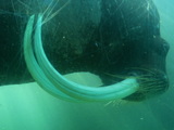 d4ac65d8.JPG