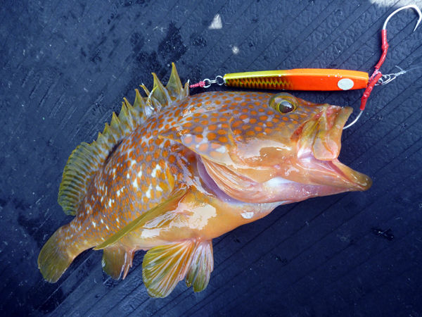 fishing = my life                けんちゃん