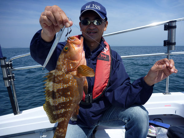 イカナゴベイト時のタチナロ 瀬戸内海 Fishing My Life