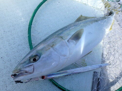 MCワークス NB613KS クダコスペシャル ジギング