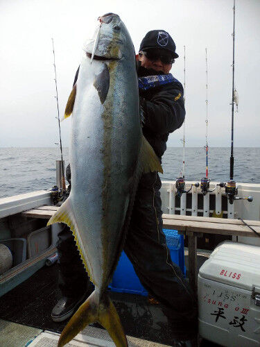 ジギングで20キロオーバーのヒラマサ Fishing My Life ジギングで20キロオーバーのヒラマサ Fishing My Life