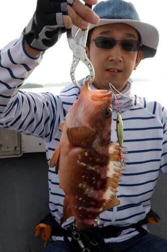 瀬戸内アコウ 備讃瀬戸 Fishing My Life 瀬戸内アコウ 備讃瀬戸 Fishing My Life
