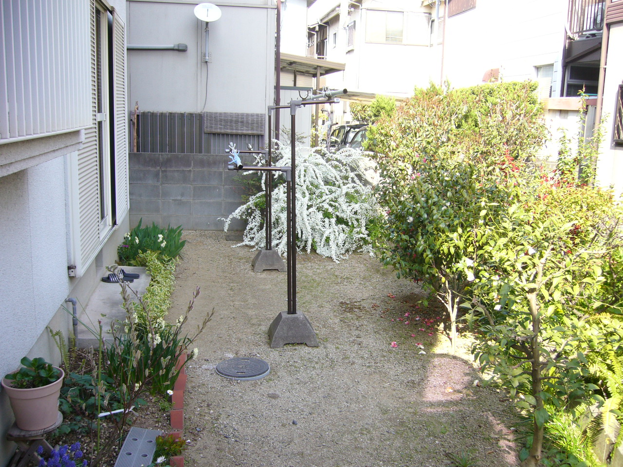 庭の花 おくだっちマイルーム