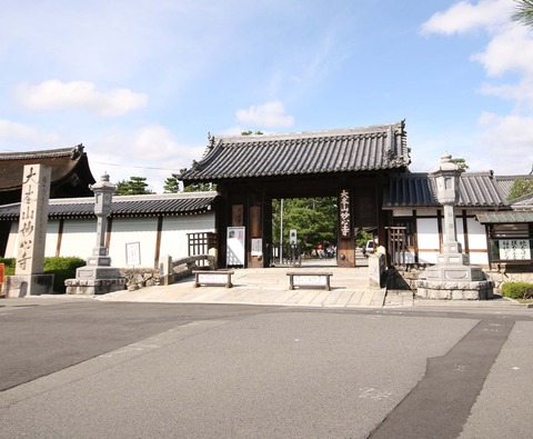 妙心寺a
