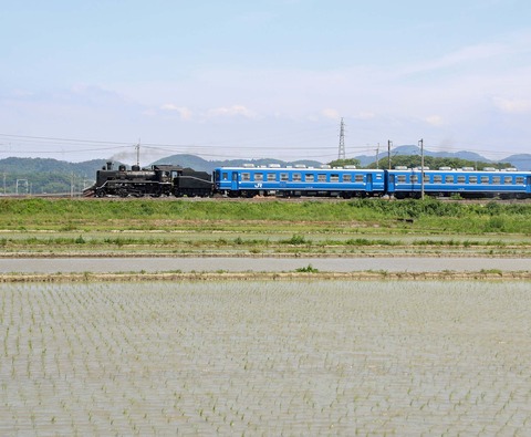 IMG_0819 のコピー