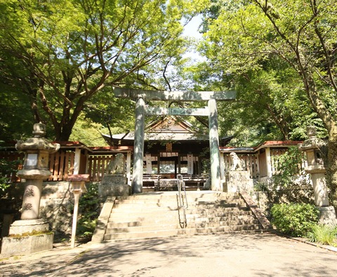 金崎宮b