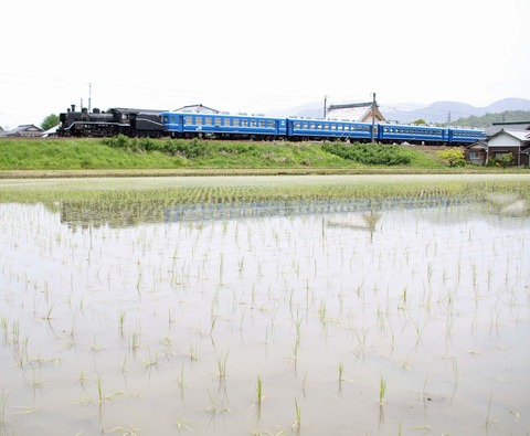 IMG_0665 のコピー