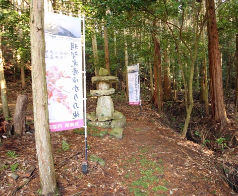 稲畑6