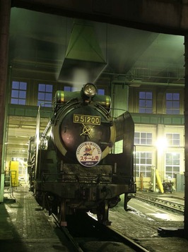 z9